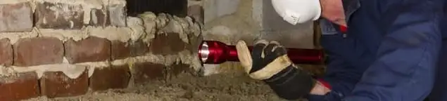 Pest control technician inspecting a crawl space for ant activity and entry points in Peoria, IL
