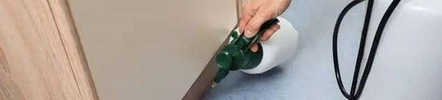 Bed bug exterminator treating baseboards and cracks with targeted spray in Peoria, IL