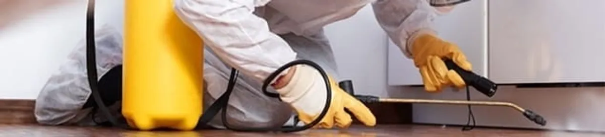 Roach exterminator treating cracks and crevices along kitchen baseboards in Peoria, IL