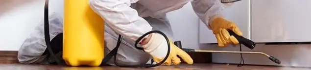 Roach exterminator treating cracks and crevices along kitchen baseboards in Peoria, IL