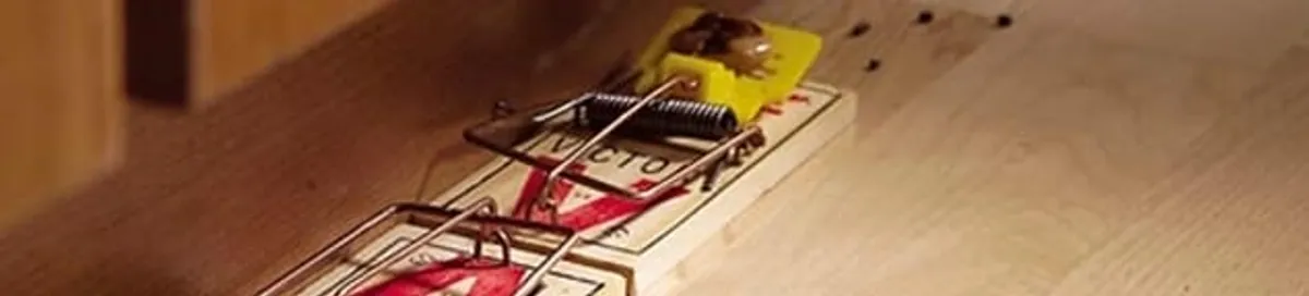Rodent trap set indoors for rodent control and prevention in Peoria, IL