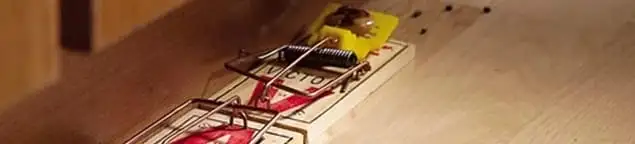 Rodent trap set indoors for rodent control and prevention in Peoria, IL